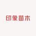 广东印象苗木