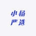 小杨严选男装店