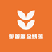 御善源金线莲