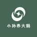 小孙养大鹅