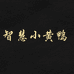 智慧小黄鸭洗衣机旗舰店