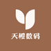 天橙数码