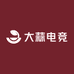 大蒜电竞