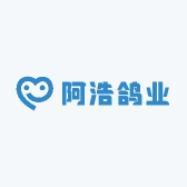阿浩鸽业