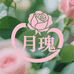 超人园艺盆景