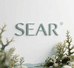 SEAR洗护企业店