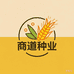 商道种业小麦 玉米