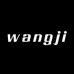 wangjingyi线上