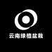 林家小院盆栽