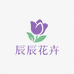 辰辰花卉全国同城配送