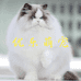 优乐萌宠