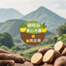 禄鸣谷黄心木薯供应商