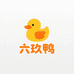 六玖鸭