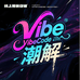 VibeCode潮解