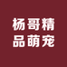 成都杨哥精品萌宠馆