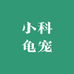 小科龟宠