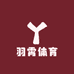 羽霄体育
