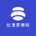 红龙赏潮玩