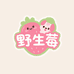 野生莓萌宠玩具