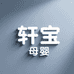 轩宝母婴纸尿裤批发仓