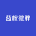 蓝桉微胖定制2店