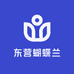 东营蝴蝶兰生产基地