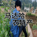 马达哈农特产