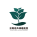 云南花卉绿植批发