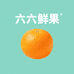 六六鲜果铺