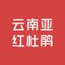 云南亚红杜鹃云茶园艺