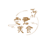 无为市雯君食品经营部
