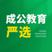 成公教育严选