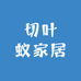切叶蚁家居