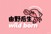 由野后生宠物用品店