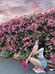 花开花落时园艺