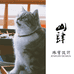山肆珠宝