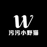 污污小野猫