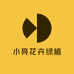 小亮花卉绿植