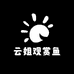 云姐观赏鱼