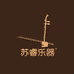 雅韵二胡厂