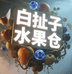 白扯子水果仓(不夜城店)