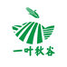 一叶秋谷