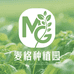 麦格种植园