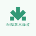向阳花木花卉绿植