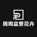 周周盆景花卉