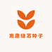 君康绿苏种子