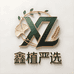 鑫植严选