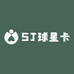 SJ球星卡