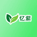 忆紫大健康