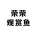 荣荣观赏鱼